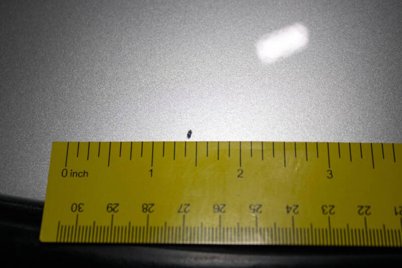 1998 Chevrolet Corvette