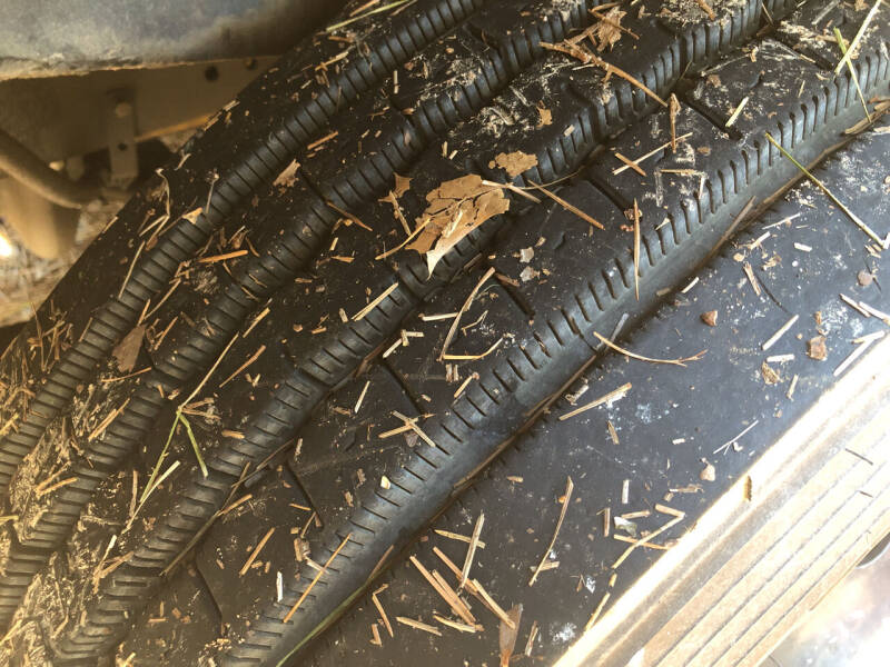 2009 Blue Bird Vision