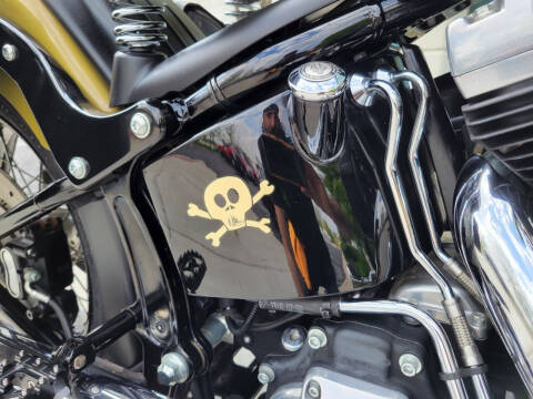 2009 Harley-Davidson FLSTSB - Cross Bones™