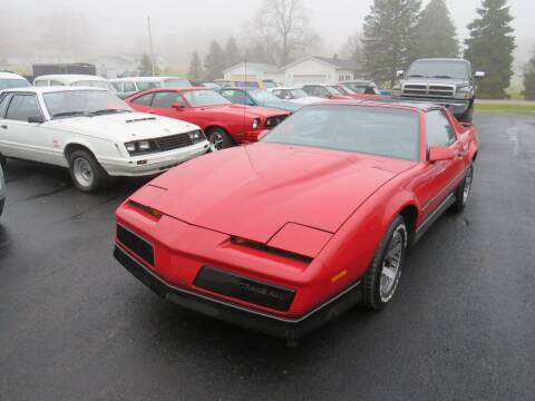 1984 Pontiac Firebird for sale at Whitmore Motors in Ashland OH