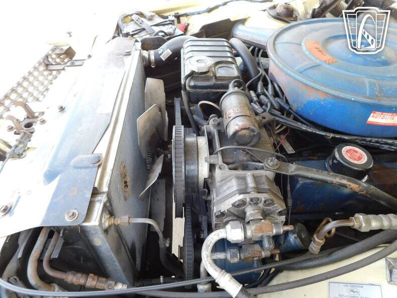 1966 Ford Thunderbird