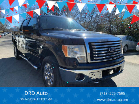 2011 Ford F-150 for sale at DRD Auto in Brooklyn NY