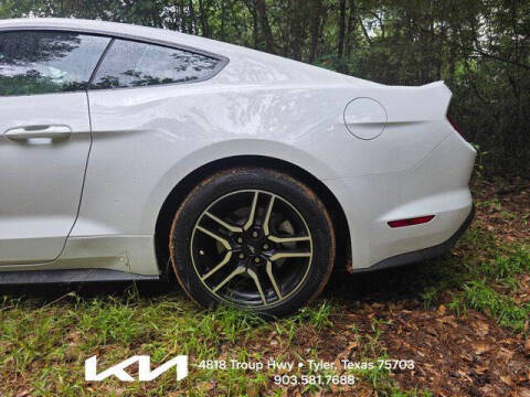 2019 Ford Mustang EcoBoost