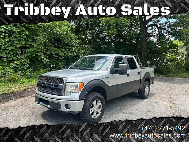 2010 Ford F-150 for sale at Tribbey Auto Sales in Stockbridge GA