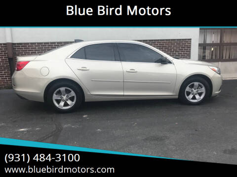 2015 Chevrolet Malibu for sale at Blue Bird Motors in Crossville TN