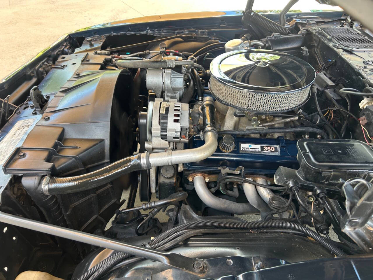 1981 Pontiac Firebird 40