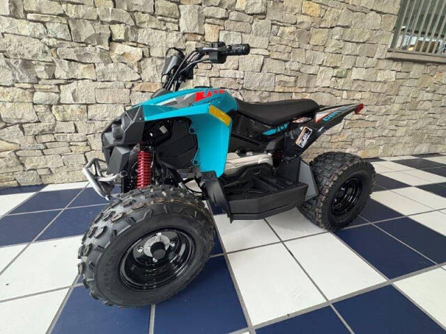 Can-Am Renegade 70 EFI Image