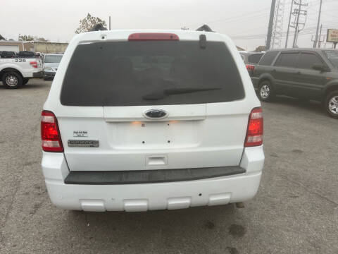 2011 Ford Escape XLT