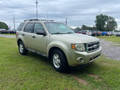 2011 Ford Escape XLT