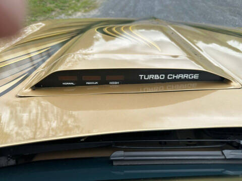 1980 Pontiac Firebird Trans Am