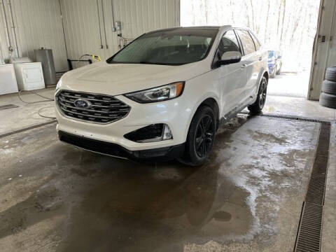 2019 Ford Edge for sale at Monster Motors in Michigan Center MI