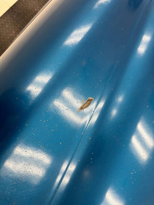 1955 Chevrolet Bel Air