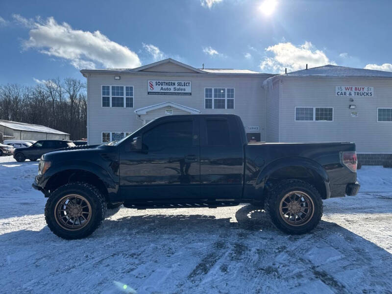 2010 Ford F-150 for sale at SOUTHERN SELECT AUTO SALES in Medina OH