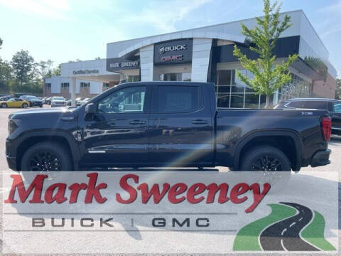 2024 GMC Sierra 1500 for sale at Mark Sweeney Buick GMC in Cincinnati OH