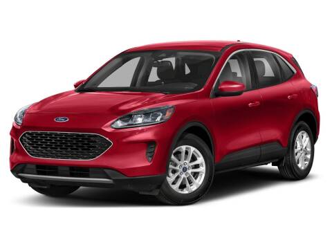 2020 Ford Escape for sale at BORGMAN OF HOLLAND LLC in Holland MI