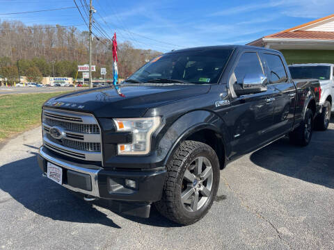 2015 Ford F-150 for sale at PIONEER USED AUTOS & RV SALES in Lavalette WV