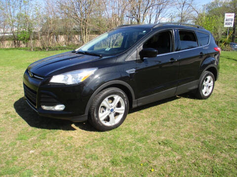 2015 Ford Escape for sale at Triangle Auto Sales in Elgin IL