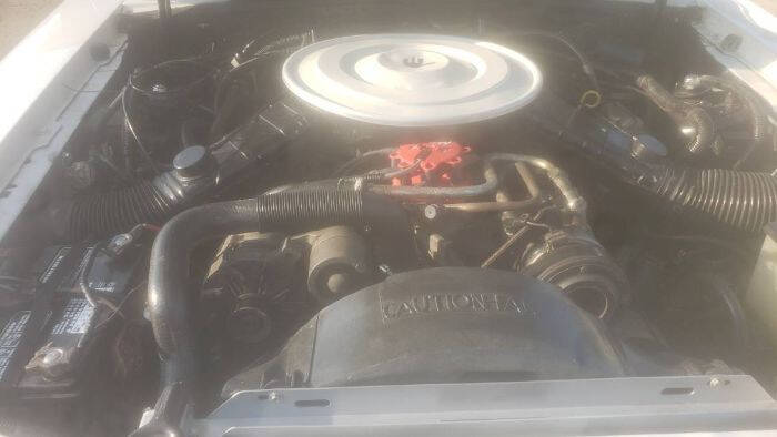 1985 Ford Mustang LX