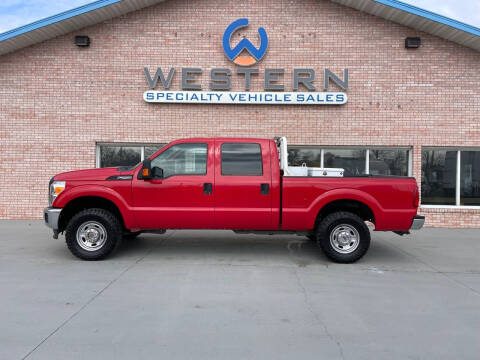 2014 Ford F-250 for sale at Western Specialty Vehicle Sales in Braidwood IL