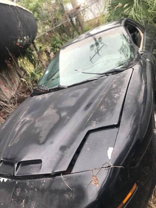 1995 Pontiac Firebird Trans Am