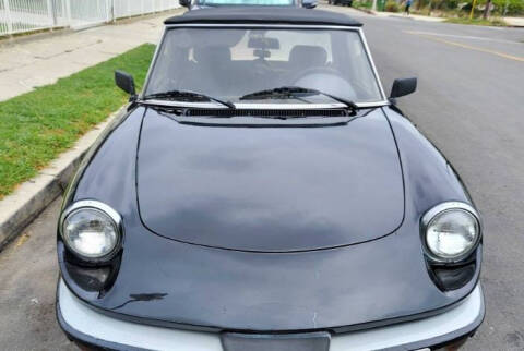 1986 Alfa Romeo Spider Veloce