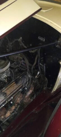 1934 Packard Roadster