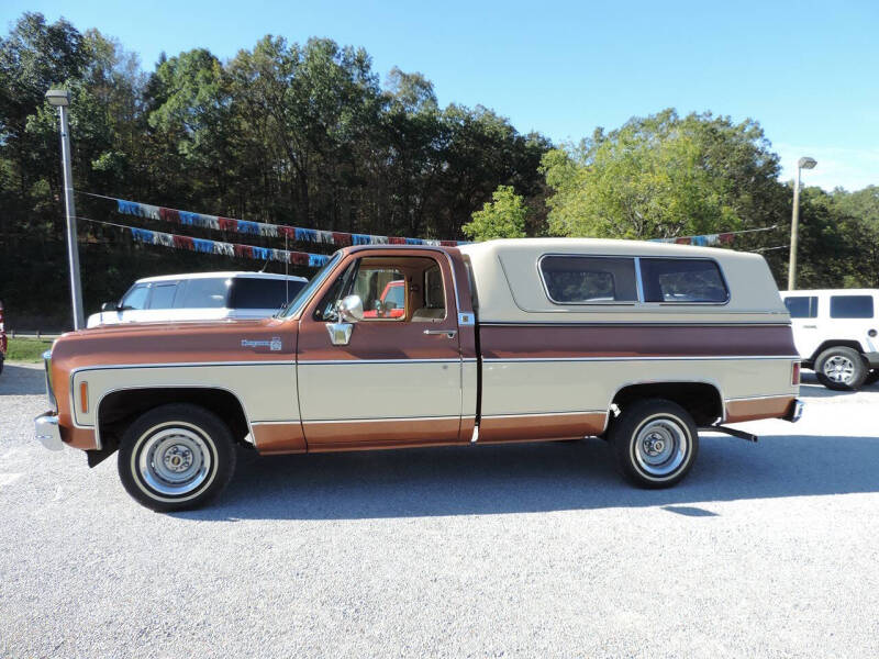 1980 Chevrolet C/K 10 Series