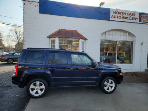2014 Jeep Patriot for sale at North East Auto Gallery in North East PA