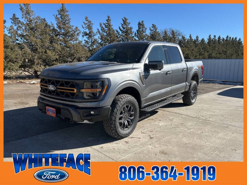 2025 Ford F-150 for sale at Whiteface Ford in Hereford TX