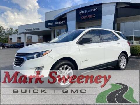 2019 Chevrolet Equinox for sale at Mark Sweeney Buick GMC in Cincinnati OH