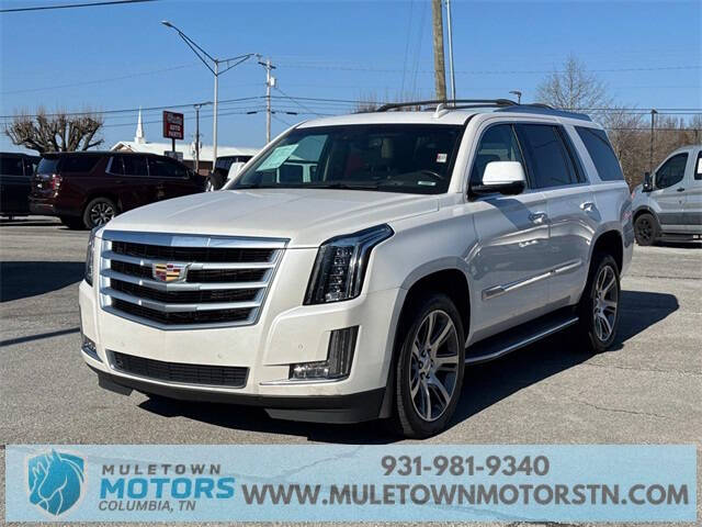 2016 Cadillac Escalade for sale at Muletown Motors in Columbia TN