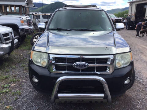 2009 Ford Escape XLT