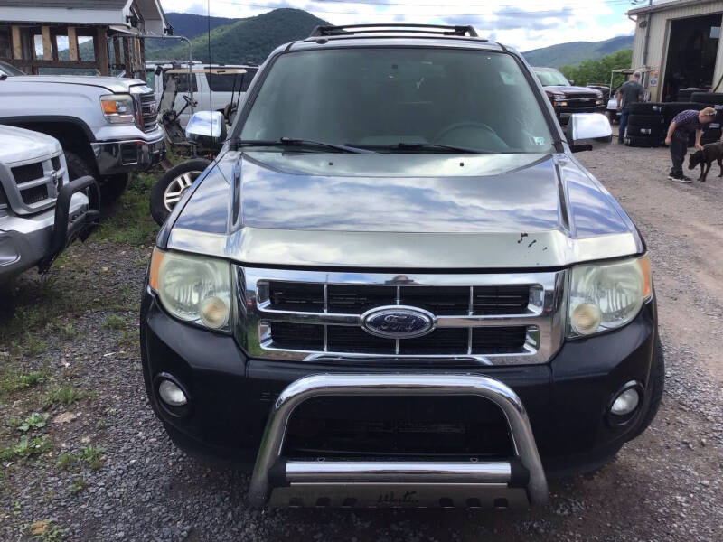 2009 Ford Escape XLT