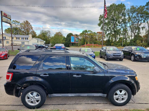 2010 Ford Escape XLT