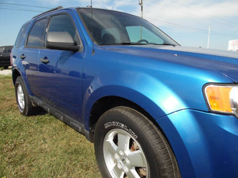2011 Ford Escape XLT