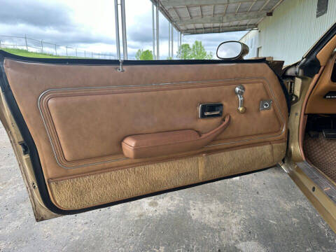 1980 Pontiac Firebird Trans Am