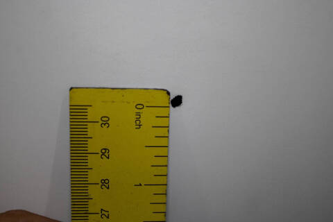 2008 Mazda RX-8 Sport