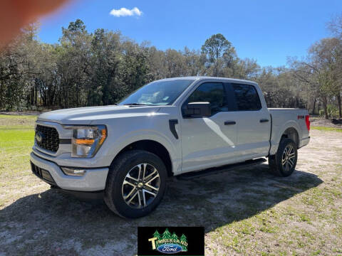 2023 Ford F-150 for sale at TIMBERLAND FORD in Perry FL