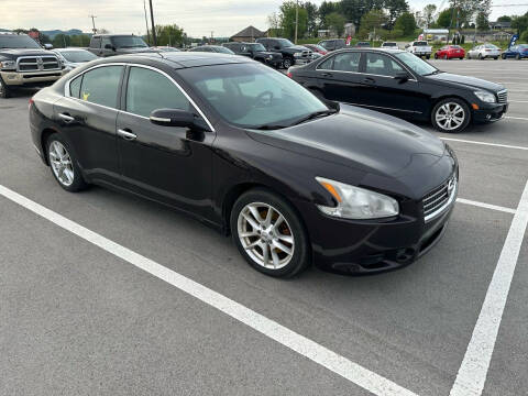 2010 Nissan Maxima for sale at Wildcat Used Cars in Somerset KY