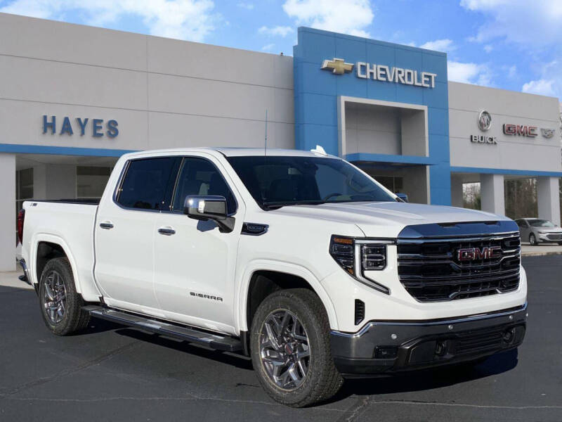 2025 GMC Sierra 1500 for sale at HAYES CHEVROLET Buick GMC Cadillac Inc in Alto GA