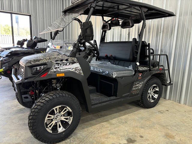 2024 Aodes 250 Gas Golf Cart  for sale at Cross Resurrection Golf Carts and Trailers in Rincon, GA