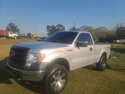 2014 Ford F-150 for sale at Lakeview Auto Sales LLC in Sycamore GA