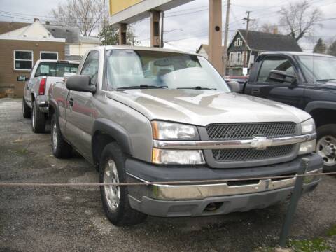 2003 Chevrolet Silverado 1500 for sale at S & G Auto Sales in Cleveland OH