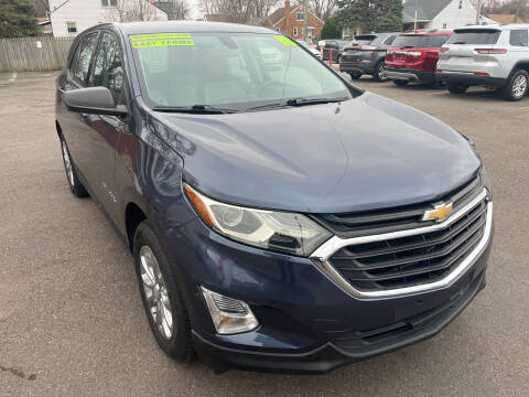 2018 Chevrolet Equinox for sale at Andy Auto Sales in Warren MI