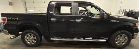 2013 Ford F-150 for sale at Paley Auto Group in Columbus OH