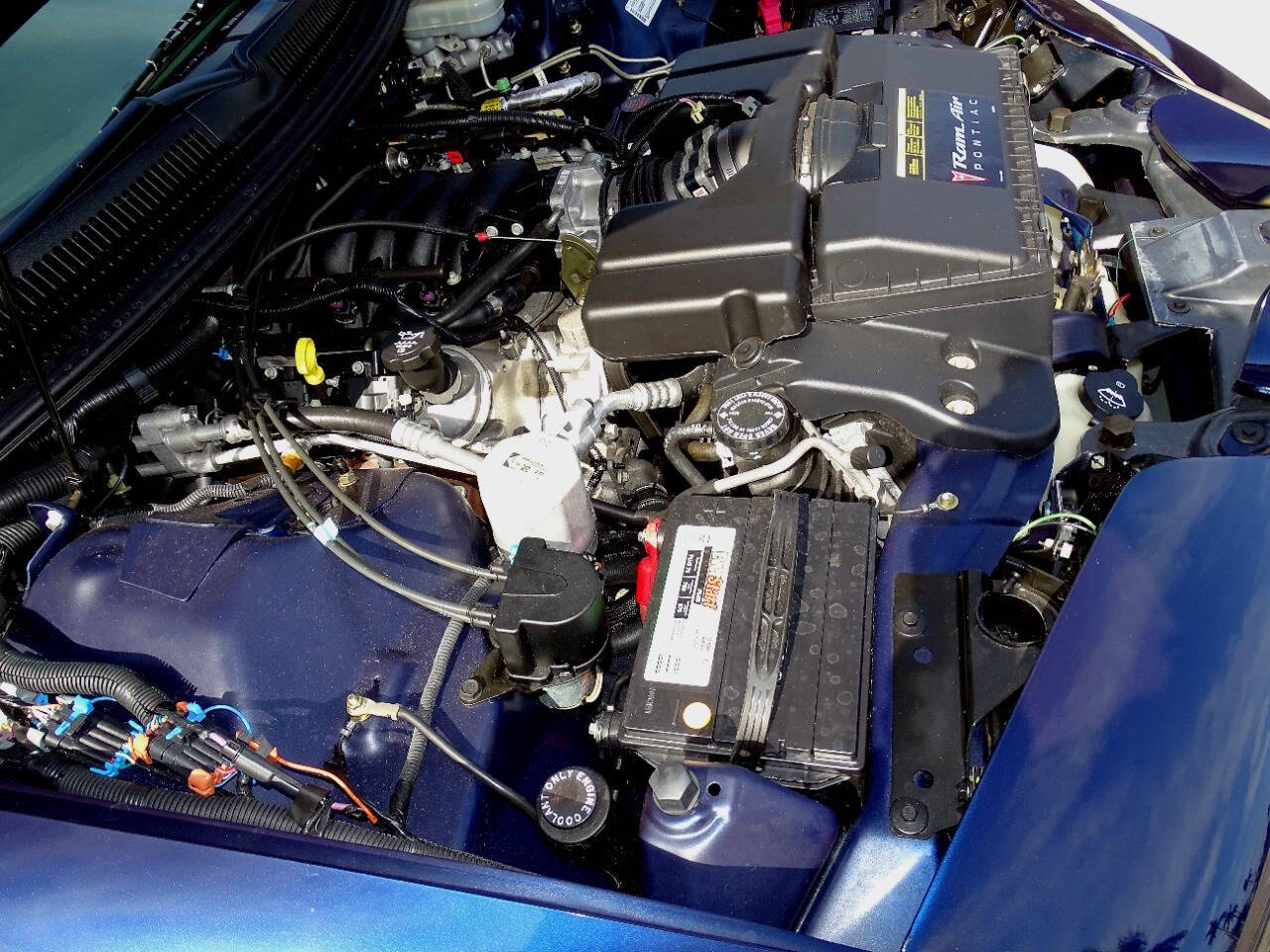 2002 Pontiac Firebird 56