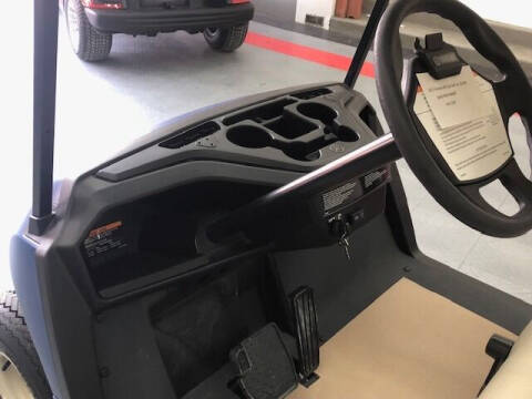 2023 Yamaha Gas Golf Car - Arctic Drift