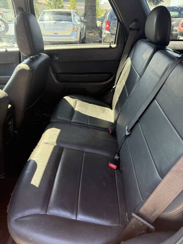 2011 Ford Escape XLT