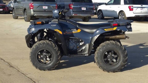 2026 Kawasaki Brute Force™
