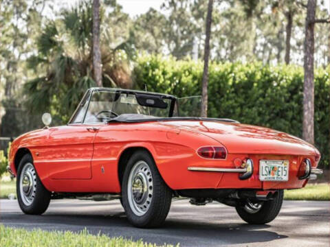 1966 Alfa Romeo Spider